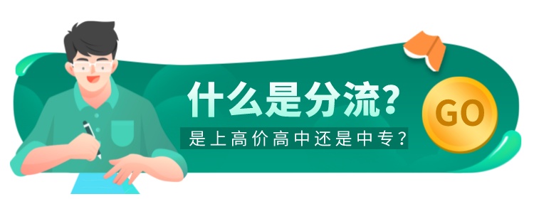 什么是分流？是上高价高中还是中专？