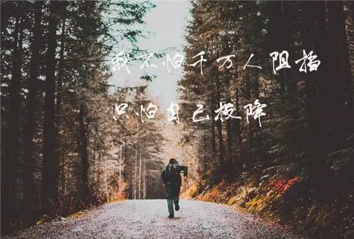 郑州中专升大专分数线(郑州中专升大专培训机构)