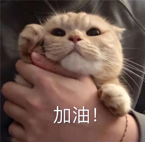 19岁的中专生可以做哪些工作？