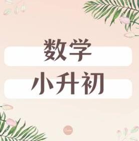 小升初数学怎么衔接？